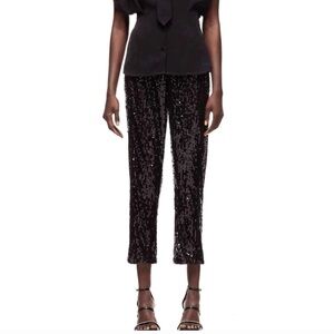 Zara sequin pants